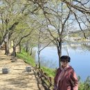 공간in동복 | 연둣빛으로 물든 화순 숲정이길, 스테이동복(연후당)에서 시작된 아침 산책 #페이지
