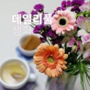 데일리풀 | 생화꽃다발 하나로 집 분위기 바뀌는 순간, 데일리풀 향기시리즈 꽃 후기