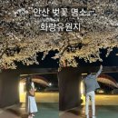 화랑유원지(제1주차장) 이미지