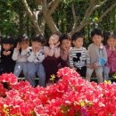 자연숲속나라어린이집 이미지