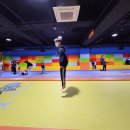 용인대석사청무태권도 이미지