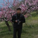 제비식당 이미지