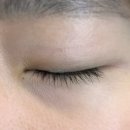 안양/범계 속눈썹펌 &lt;플라플라&gt; 무쌍 후기 (셀프, 샵 비교 후기)