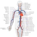 펠리체타워3 이미지