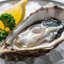 바이러스 | 굴 노로바이러스 걸린 후기, 증상 및 예방법 정리