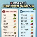 카페인 있는 차와 없는 차 종류 이미지