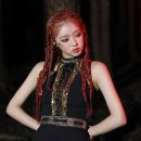 숲의 아이 이미지