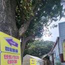 고릴라캠핑서울 이미지