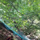 성만농장 이미지