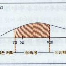고노커피 이미지
