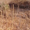 두름농장 이미지