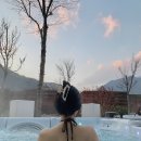 세마아틀리에 | 정선 파크로쉬 숙암킹스위트 내돈내산 후기 | 룸컨디션 수영장 자쿠지 로쉬카페 사우나