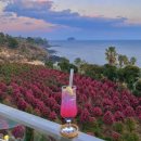 오늘의 바다 이미지