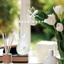 세일인터내셔날 이미지