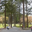 법기마을쉼터 이미지