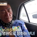 미미파파