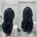 꾸밈 판교역점 블루블랙 염색한 후기 #서인실장님