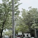 (주)진고집동해동태탕 | 상무지구 점심 맛집 진고집동해동태탕 김치찌개도 맛있음