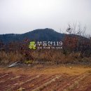 신구리농장 이미지