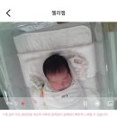 (하반기)마음의 휴식, 시 테라피 | 2주간의 세종 연세 산후조리원&amp;청율테라피 솔직 후기, 장단점 리뷰