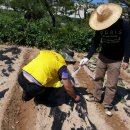 수봉재활원 이미지