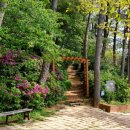 동삼1동-26 이미지