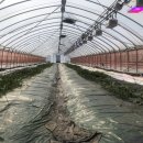 농업기술센터 시험연구동 이미지