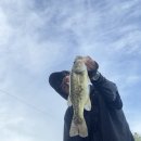 의령남강 | 의령 남강 배스낚시 다재다능한 하이드업 마카와 함께