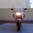 화이트특급 이미지