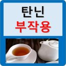 탄닌 이미지