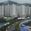 천년나무7 A 이미지