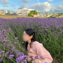 제주 터닝포인트 이미지