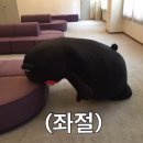 하나미 - 계양구 오조산로89번길 6 | 하나미