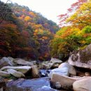 (주)하늘가