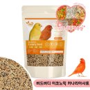 카나리아 이미지