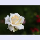 곡성-084 이미지