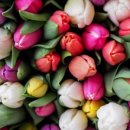 행복할 이유를 찾아드립니다 이미지