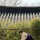 강추 | [돌잔치] 7. 돌잔치 아이폰 스냅 르이베베 강추 (내돈내산후기)