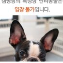 엑스포공원 사거리-1 이미지