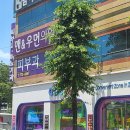 맨앤우먼의원 | 맨앤우먼의원/광주 광산구 월계동/위치
