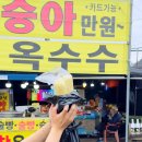 금다래캠핑장 | 가평 계곡 물놀이(다이빙,계곡미끄럼) 가능한 ‘금다래캠핑장’