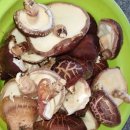 고향보쌈 이미지