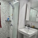 로얄트리 이미지