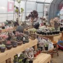 와우4리 이미지