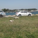 포리네 민박 이미지