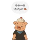 범계 고기집 맛집 추천 은비갈비 안양범계점 후기 (feat. 고퀄리티 쌈채소 무한리필)
