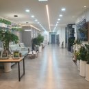 핀스크린골프 이미지