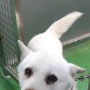 영진공업사 이미지