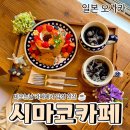 공지로 1L | [공지] 일본 오사카 나카자키초 시마코 카페 후기｜우메다 근처 감성 카페 추천