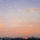 리시오카페아트홀점 | 2022 안성천 청춘 버스킹 전국 오디션 관람후기